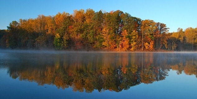 Fall in Charlottesville